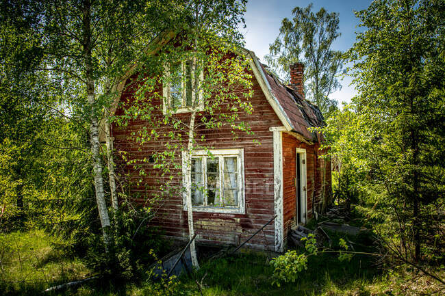 Vista panorâmica da cabana na floresta — Fotografia de Stock