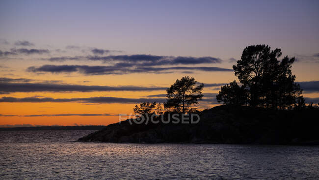 Silueta de árboles en la isla durante la puesta del sol - foto de stock