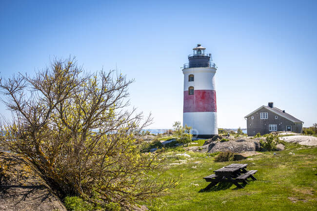 Lighthouse, house, and tree — Stock Photo