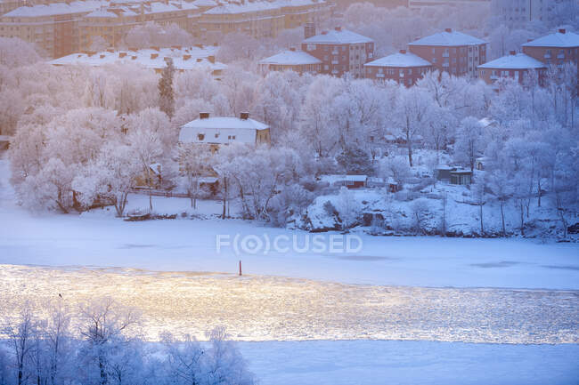 Деревья и дома на реке зимой — стоковое фото