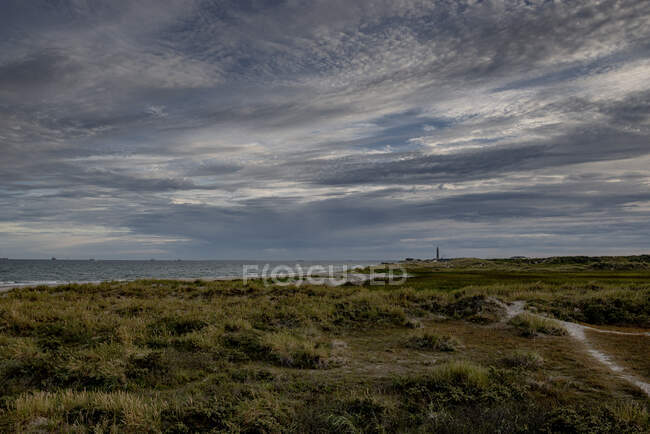 Облака над травой на песчаных дюнах — стоковое фото