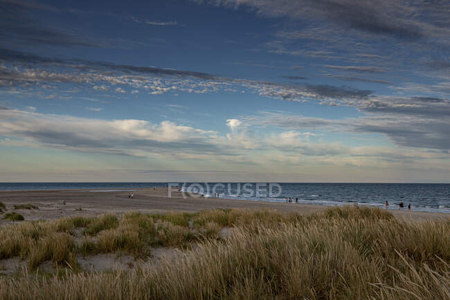 Nubes sobre hierba en dunas de arena - foto de stock