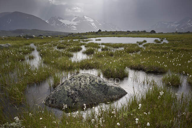Pântano na montanha no Parque Nacional de Sarek, Suécia — Fotografia de Stock