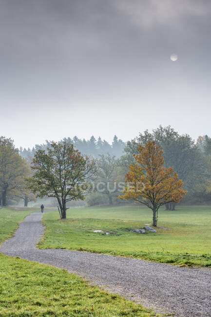Pessoa caminhando no parque durante o outono — Fotografia de Stock