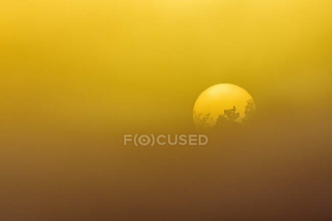 Vista panoramica del tramonto giallo — Foto stock