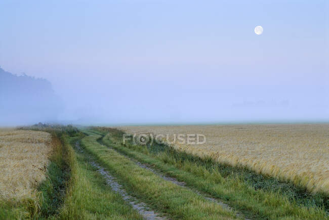 Route rurale au coucher du soleil — Photo de stock