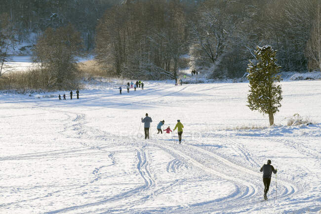 Люди катаються на лижах у полі — стокове фото
