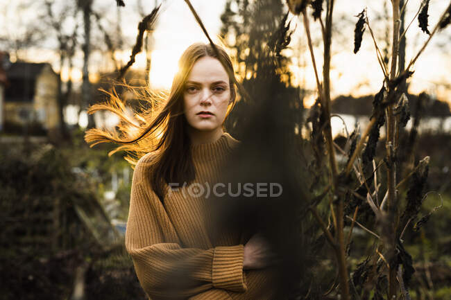Молодая женщина на закате в поле — стоковое фото
