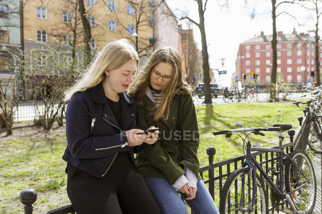 Mujeres jóvenes usando teléfono inteligente en el parque en Estocolmo, Suecia — Stock Photo