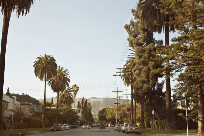 Palmen, Straße und Hollywood-Zeichen in Kalifornien — Stockfoto