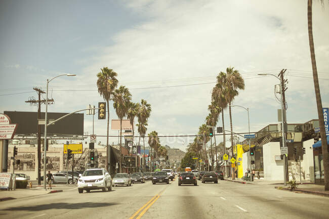Voitures conduisant sur la route avec palmiers — Photo de stock