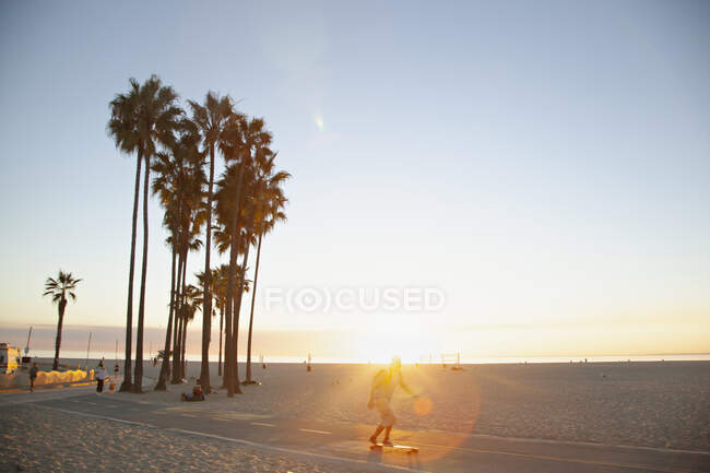 Palm trees and beach at sunset — Stock Photo