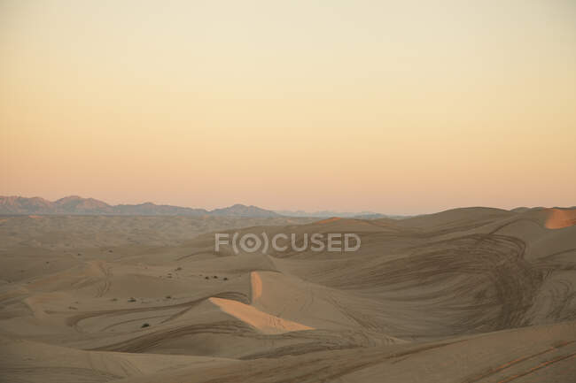 Algodones Dunes in California, EUA — Fotografia de Stock