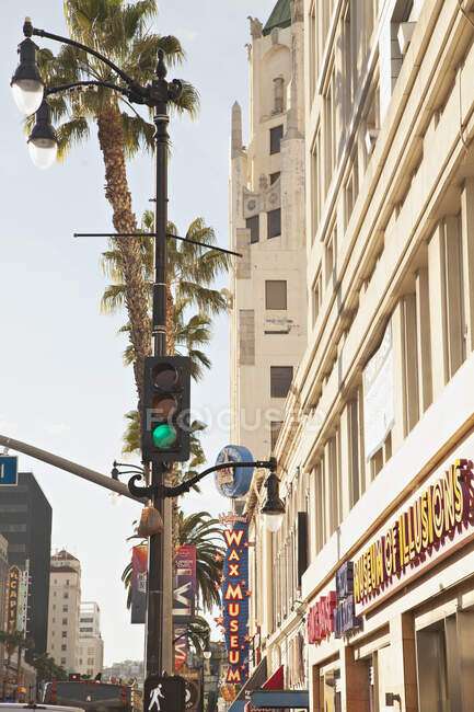 Traffic light and palm tree in Los Angeles, California — Stock Photo