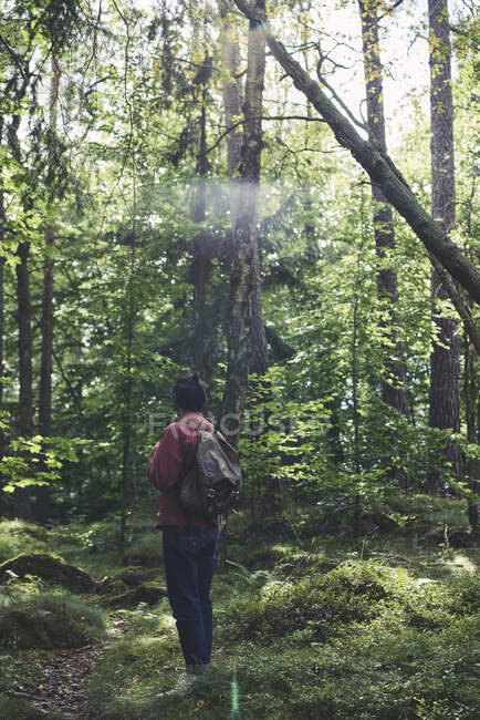 Hombre adulto caminando en el bosque - foto de stock