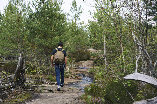 Man hiking by stream through forest — Stock Photo