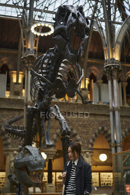 Mulher por Tyrannosaurus rex fóssil na Universidade de Oxford — Fotografia de Stock