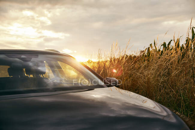 Coche por campo durante la puesta del sol - foto de stock