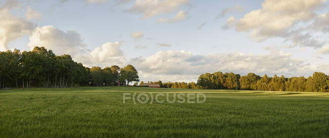 Campo e abito durante il tramonto — Foto stock