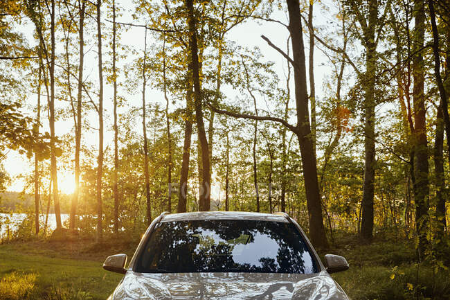 Auto im Wald bei Sonnenuntergang — Stockfoto