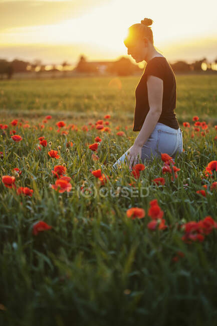 Jeune femme marchant dans le champ au coucher du soleil — Photo de stock