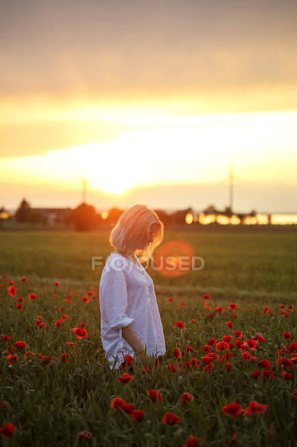Молодая женщина, идущая в поле на закате — стоковое фото