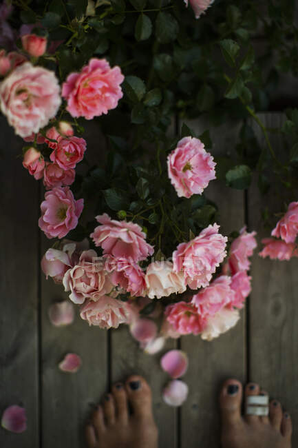 Fleurs roses et pieds de femme debout sur le pont — Photo de stock