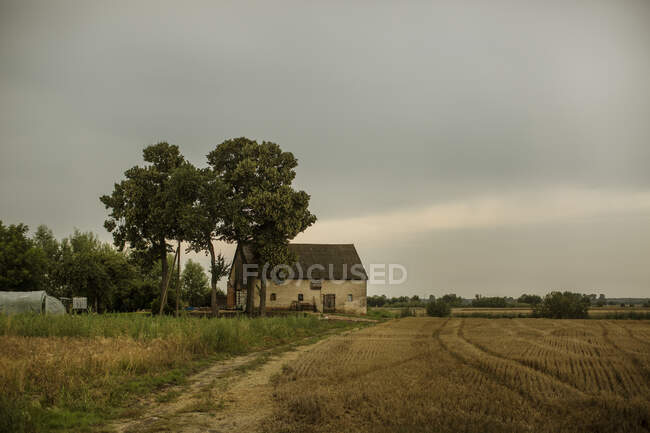 Granero en granja con árboles - foto de stock