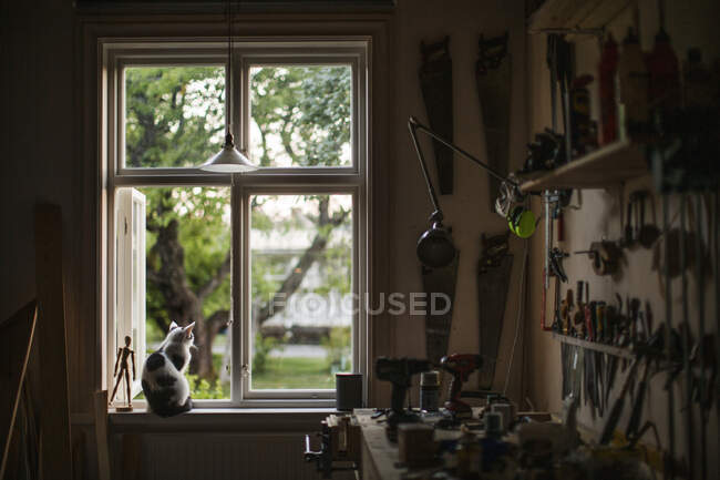 Gato sentado en el alféizar de la ventana por banco de trabajo - foto de stock