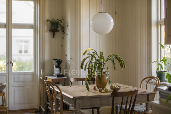 Рослина з горщиками на кухонному столі — стокове фото