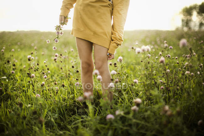 Menina em suéter amarelo colhendo flores — Fotografia de Stock