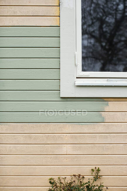 Pittura su parete di casa in ristrutturazione — Foto stock