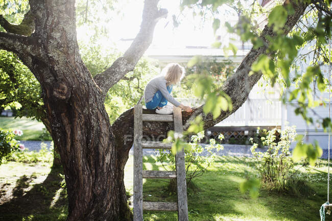 Chica sentada en rama de árbol - foto de stock