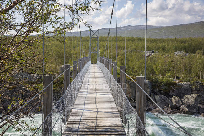 Wooden bridge and tree branches over river — Stock Photo