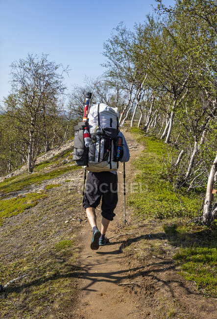 Man hiking on trail between trees — Stock Photo