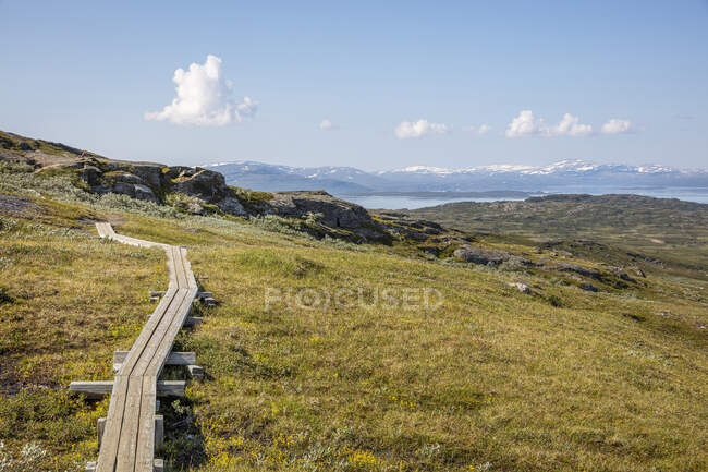Boardwalk and grass on mountain — Stock Photo