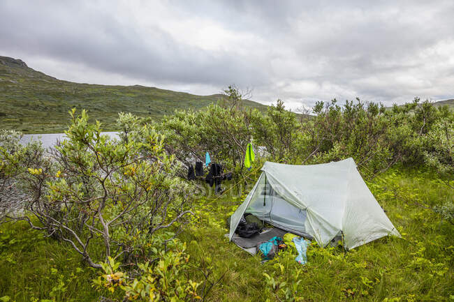 Tenda e árvores por rio e colina — Fotografia de Stock