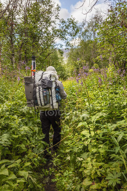 Homme randonnée par les fleurs dans la forêt — Photo de stock