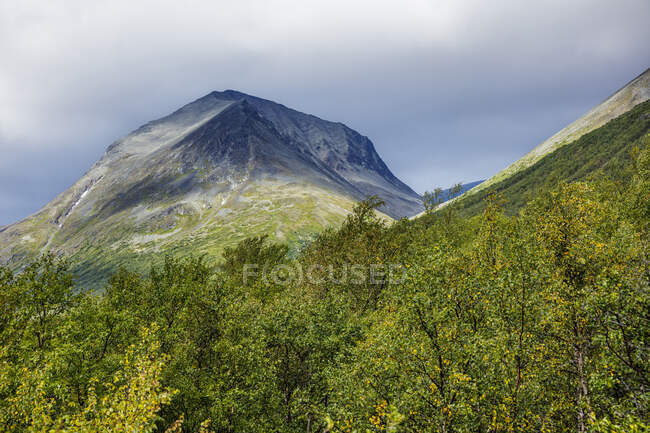 Clouds above mountain and forest — Stock Photo
