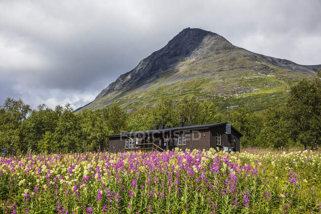 Montanha, cabine e campo com flores — Fotografia de Stock
