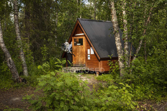 Man walking into cabin in forest — Stock Photo