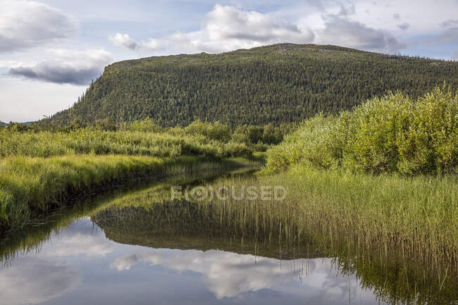 Clouds above forest on hill and stream — Stock Photo