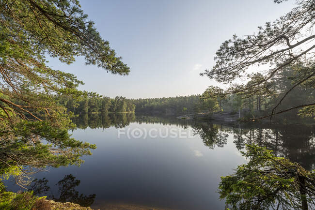 Bosque y lago bajo cielo despejado - foto de stock