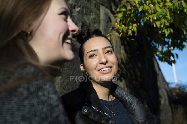 Молодая женщина разговаривает со своим другом за каменной стеной — стоковое фото