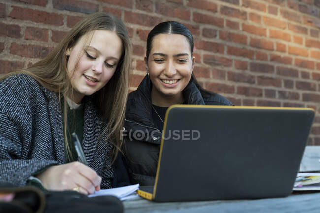 Jovens mulheres estudando no banco do parque — Fotografia de Stock