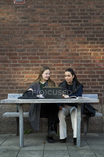 Jeunes femmes étudiant sur banc de parc — Photo de stock
