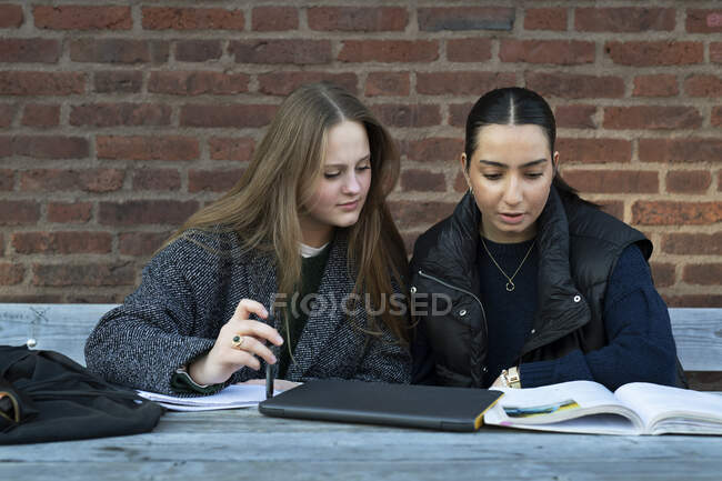 Молодые женщины учатся на скамейке в парке — стоковое фото
