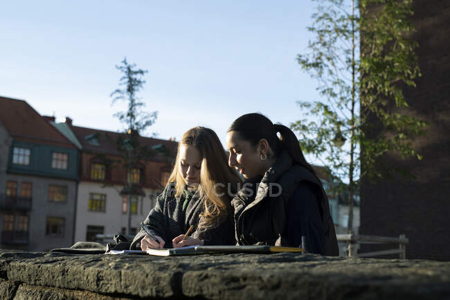 Jovens mulheres estudando na parede — Fotografia de Stock