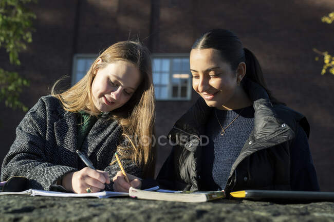 Giovani donne che studiano sul muro — Foto stock