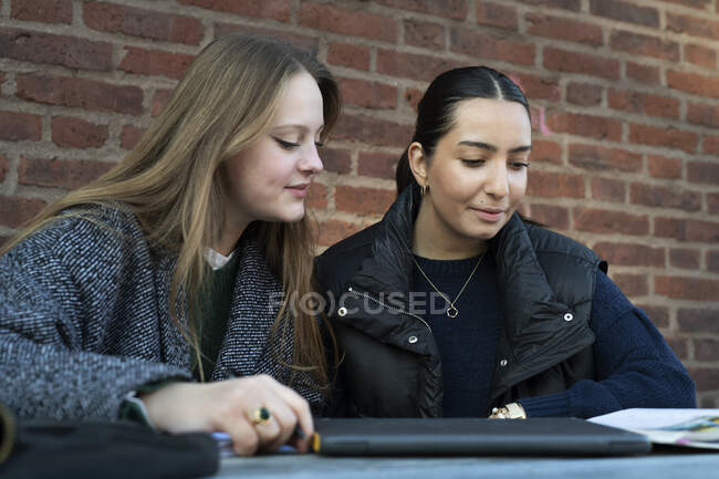 Mujeres jóvenes estudiando en el banco del parque - foto de stock